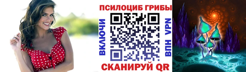 Псилоцибиновые грибы Magic Shrooms  Пыталово 